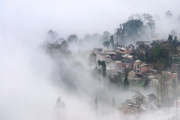 Fototapeta na wymiar Fog and mist covering rice terrace and the village