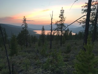 Obraz premium sunset in the forest