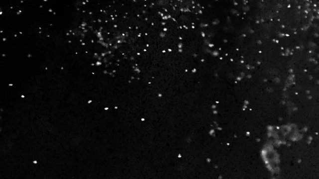 Floating white and black particles - abstract animation on a black background - full hd