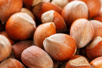 Dried unshelled hazelnuts seeds of Whole nuts as background