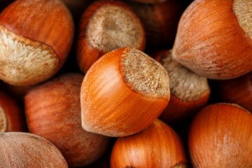 Dried unshelled hazelnuts seeds of Whole nuts as background