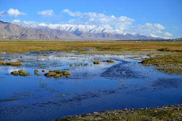 Beautiful Golden Grasslands with river in Tashkurgan with snow covered mountains, Xinjiang, China