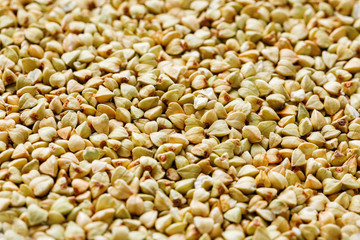 raw green buckwheat background, organic vegan food. Texture
