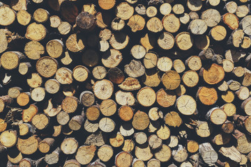 Wood pile with view of cross section of trees stumps which is beautiful background.
