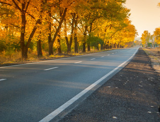 road in autumn day