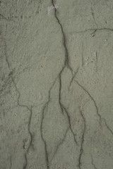 Lined cracks in a green wall
