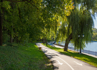 Bike path in a green Park by the lake.
