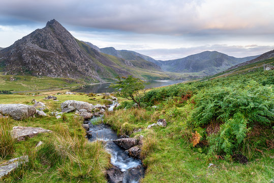 Mount Tryfan In Snowdonia