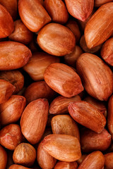 Peanuts, for background or textures. Uncleaned inshell peanuts.