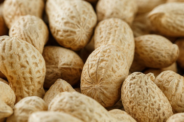 Uncleaned inshell peanuts. Peanuts, for background or textures.