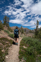 Beautiful female backpacker hiker takes photos along the trail in California's eastern sierra nevada along 20 Lakes Basin Hike on a sunny summer day