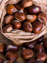 Castagne di bosco: i frutti dell'autunno