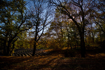 Fototapeta na wymiar Autumn landcsacpe in Stockholm