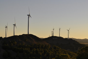 Molinos de viento
