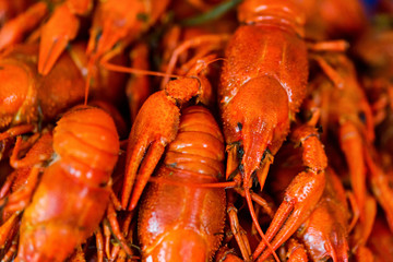 Tasty red boiled crayfish close up background