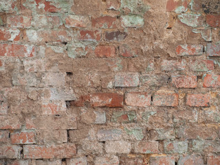 Naklejka premium OLYMPUS DIGITAL CAMERA