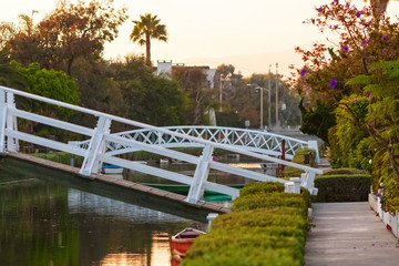 Obraz premium bridge in the city
