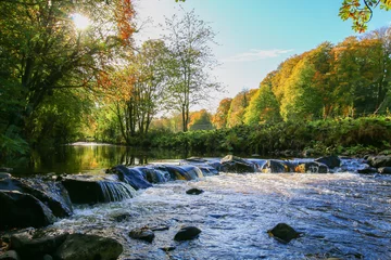 Foto op Plexiglas Rivier Glenarm rivier in de herfst