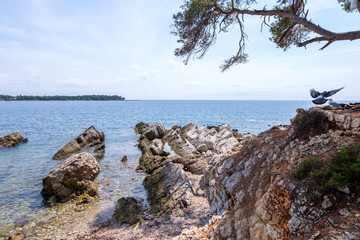 Island Sainte-Marguerite shore at daylight