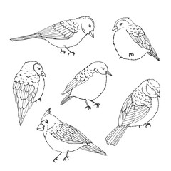 Hand drawn vector birds line art set. Cute little creatures isolated on white background. Wildlife contours.
