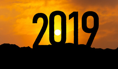 Ausblick auf 2019