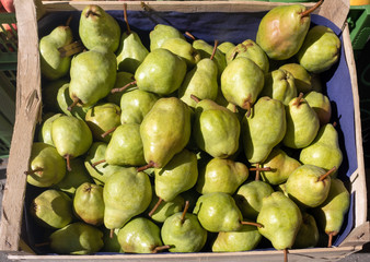 Green Pears Stack on sale in a wooden Box, with sunlight. Autumn Fruit.