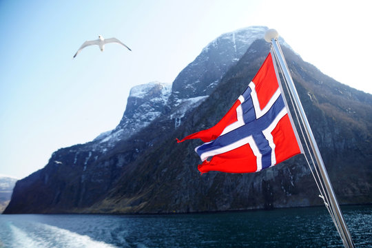 Norway Flag on sea and mountains background with Flying seagull in the sky