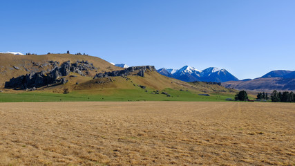Fototapeta premium Campo verde com montanha de neve no fundo
