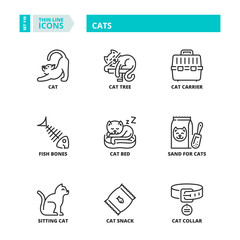 Thin line icons. Pets; cats