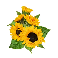 Fototapete Sonnenblumen Strauß Sonnenblumen