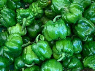 Grüne Paprika Schoten