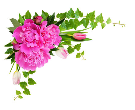 Fototapeta Corner arrangement with pink tulips, ivy leaves and peony flowers