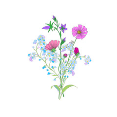 Obraz na płótnie Canvas Cute Wild Flowers Bouquet Isolated on White Background for Greeting Cards, Wedding Invitations, Illustrations, Web, Textile Designs. Vector Bouquet of Cosmos Flowers, Bellflowers and Forget mt not