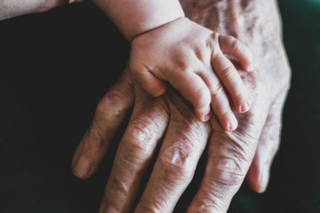 Fototapeta premium baby hand on old hand