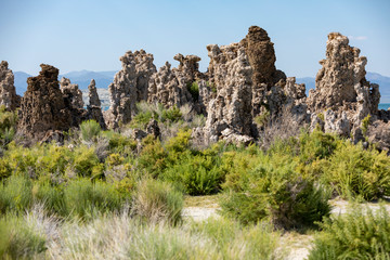 Tufa towers on the coast of Mono Lake, California