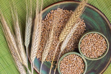 Wheat grains in ceramic cups, spikelets of wheat on a green background. Top view