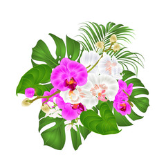 Bouquet with tropical flowers  floral arrangement, with beautiful purple and white orchids  Phalaenopsis  palm and philodendron  vintage vector illustration  editable hand draw