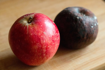 контраст свежего и гнилого яблок