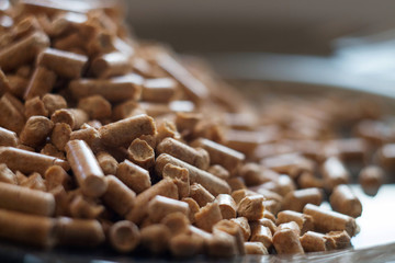 наполнитель для кошачьего туалета