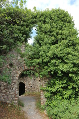 Fototapeta na wymiar Arch entrance to the castle is overgrown with plants