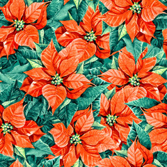 Seamless pattern of poinsettia, watercolor background Christmas illustration.