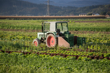 Traktor auf Acker, Landwirtschaft
