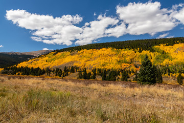 Obraz premium Autumn Landscape in the Mountains