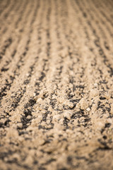 Frisch umgepflügtes Feld, fruchtbare Erde