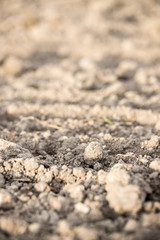 Frisch umgepflügtes Feld, fruchtbare Erde