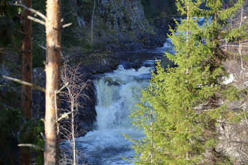 Waterfall Kivach, Karelia, Russia