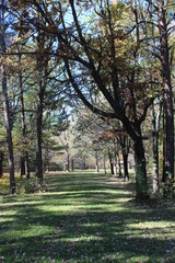 park garden