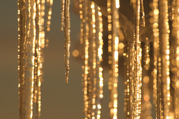 Icicles illuminated by the arctic setting sun
