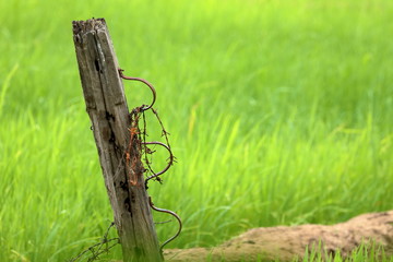 Weidezaun mit Stacheldraht