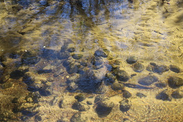 rocks at bottom of river